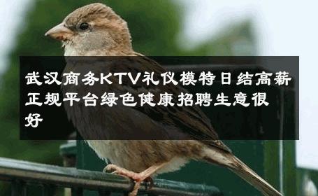 武汉商务KTV礼仪模特日结高薪正规平台绿色健康招聘生意很好