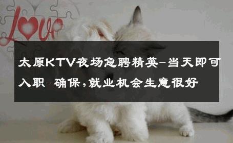 太原KTV夜场急聘精英-当天即可入职-确保,就业机会生意很好