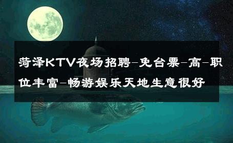 菏泽KTV夜场招聘-免台票-高-职位丰富-畅游娱乐天地生意很好