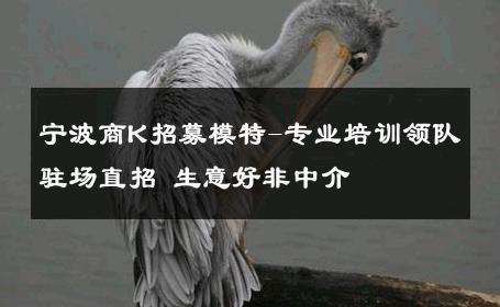 宁波商K招募模特-专业培训领队驻场直招 生意好非中介