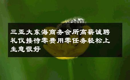 三亚大东海商务会所高薪诚聘礼仪接待零费用零任务轻松上生意很好