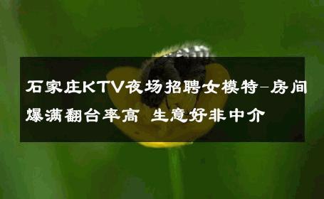 石家庄KTV夜场招聘女模特-房间爆满翻台率高 生意好非中介