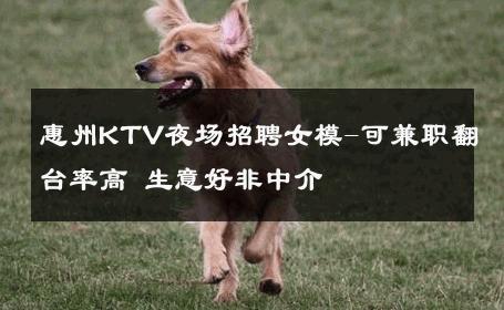 惠州KTV夜场招聘女模-可兼职翻台率高 生意好非中介