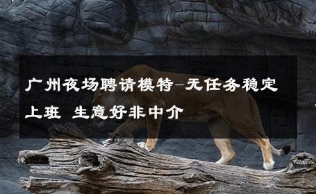 广州夜场聘请模特-无任务稳定上班 生意好非中介