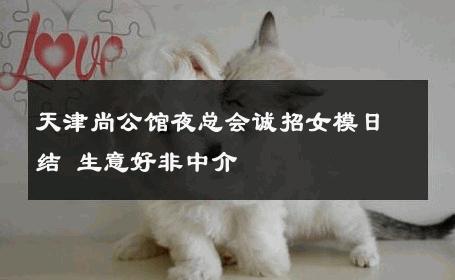 天津尚公馆夜总会诚招女模日结 生意好非中介