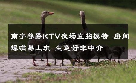 南宁尊爵KTV夜场直招模特-房间爆满易上班 生意好非中介