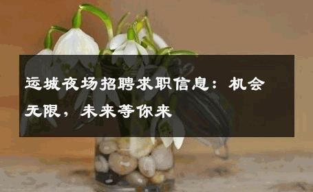 运城夜场招聘求职信息：机会无限，未来等你来
