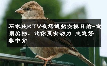 石家庄KTV夜场诚招女模日结-定期奖励，让你更有动力 生意好非中介