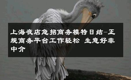 上海夜店急招商务模特日结-正规商务平台工作轻松 生意好非中介