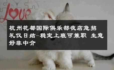 杭州花都国际俱乐部夜店急招礼仪日结-稳定上班可兼职 生意好非中介