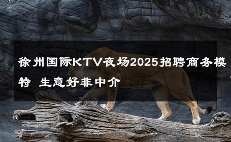 徐州国际KTV夜场2025招聘商务模特 生意好非中介