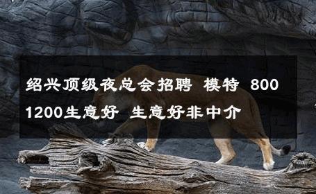 绍兴顶级夜总会招聘 模特 800 1200生意好 生意好非中介