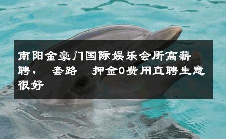 南阳金豪门国际娱乐会所高薪聘,❌套路❌押金0费用直聘生意很好