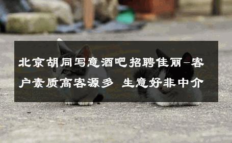 北京胡同写意酒吧招聘佳丽-客户素质高客源多 生意好非中介