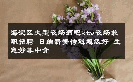 海淀区大型夜场酒吧ktv夜场兼职招聘 日结薪资待遇超级好 生意好非中介