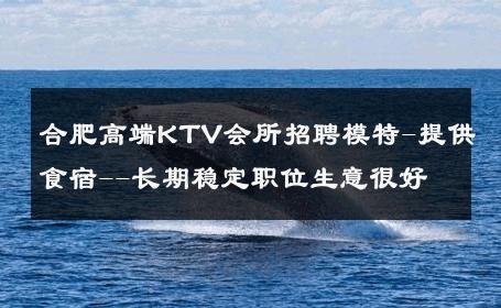 合肥高端KTV会所招聘模特-提供食宿--长期稳定职位生意很好
