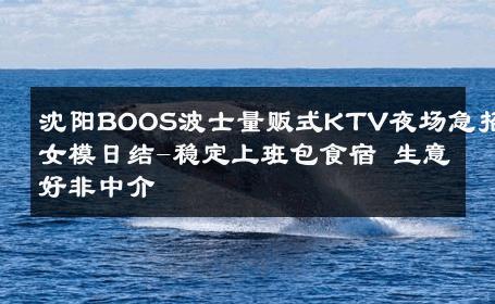 沈阳BOOS波士量贩式KTV夜场急招女模日结-稳定上班包食宿 生意好非中介