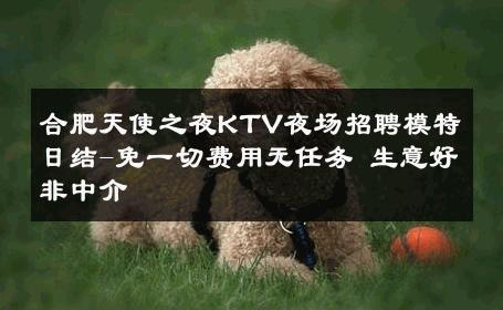 合肥天使之夜KTV夜场招聘模特日结-免一切费用无任务 生意好非中介
