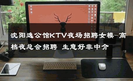 沈阳逸公馆KTV夜场招聘女模-高档夜总会招聘 生意好非中介