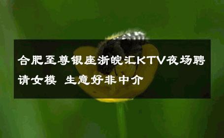 合肥至尊银座浙皖汇KTV夜场聘请女模 生意好非中介