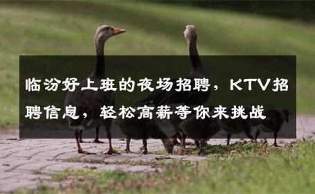 临汾好上班的夜场招聘，KTV招聘信息，轻松高薪等你来挑战
