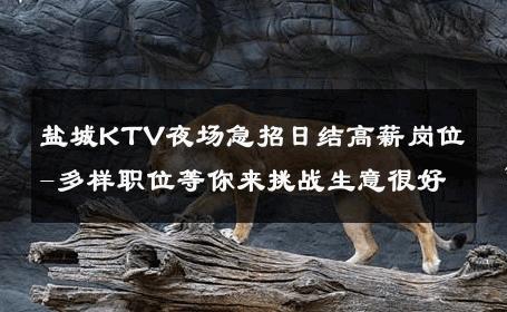 盐城KTV夜场急招日结高薪岗位-多样职位等你来挑战生意很好
