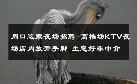 周口这家夜场招聘-高档场KTV夜场店内放开手脚 生意好非中介