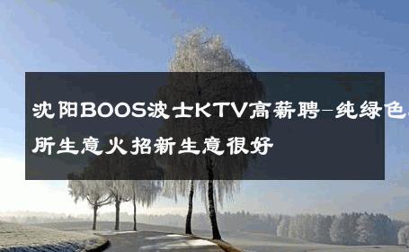 沈阳BOOS波士KTV高薪聘-纯绿色场所生意火招新生意很好