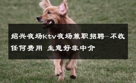 绍兴夜场ktv夜场兼职招聘-不收任何费用 生意好非中介