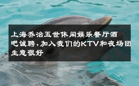 上海乔治五世休闲娱乐餐厅酒吧诚聘,加入我们的KTV和夜场团生意很好