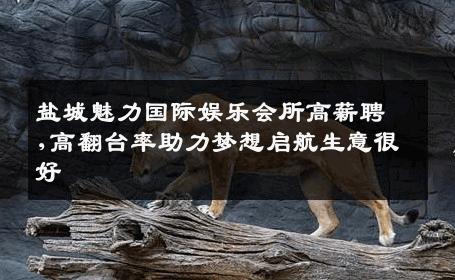 盐城魅力国际娱乐会所高薪聘,高翻台率助力梦想启航生意很好