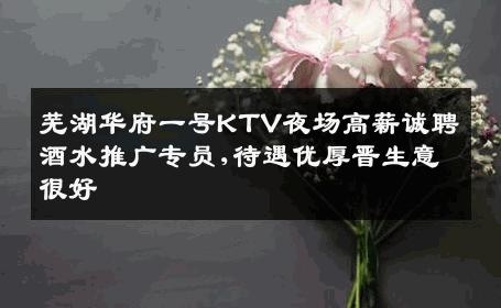 芜湖华府一号KTV夜场高薪诚聘酒水推广专员,待遇优厚晋生意很好