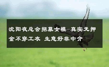 沈阳夜总会招募女模-真实无押金不穿工衣 生意好非中介