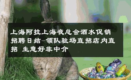 上海阿拉上海夜总会酒水促销招聘日结-领队驻场直招店内直招 生意好非中介