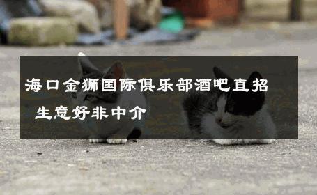 海口金狮国际俱乐部酒吧直招 生意好非中介