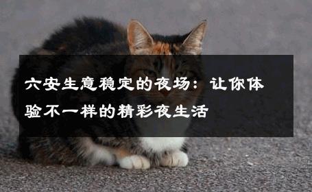 六安生意稳定的夜场：让你体验不一样的精彩夜生活