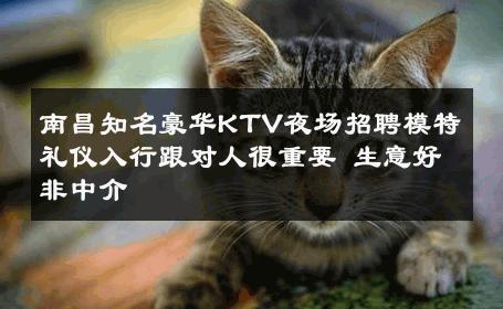 南昌知名豪华KTV夜场招聘模特礼仪入行跟对人很重要 生意好非中介
