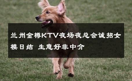 兰州金樽KTV夜场夜总会诚招女模日结 生意好非中介