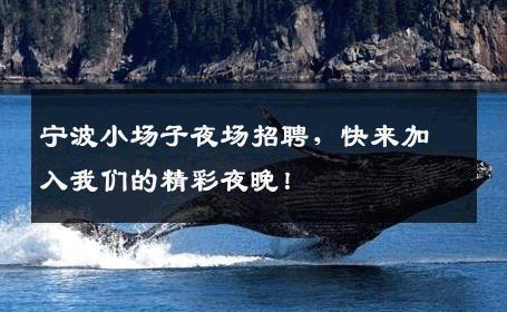 宁波小场子夜场招聘，快来加入我们的精彩夜晚！