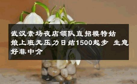 武汉素场夜店领队直招模特姑娘上班无压力日结1500起步 生意好非中介