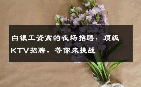 白银工资高的夜场招聘，顶级KTV招聘，等你来挑战