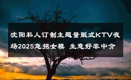 沈阳私人订制主题量贩式KTV夜场2025急招女模 生意好非中介
