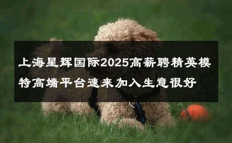 上海星辉国际2025高薪聘精英模特高端平台速来加入生意很好