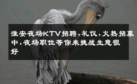 淮安夜场KTV招聘,礼仪,火热招募中,夜场职位等你来挑战生意很好