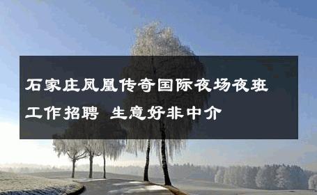 石家庄凤凰传奇国际夜场夜班工作招聘 生意好非中介