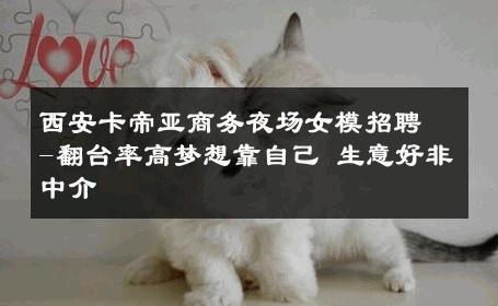 西安卡帝亚商务夜场女模招聘-翻台率高梦想靠自己 生意好非中介