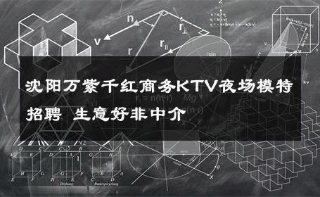 沈阳万紫千红商务KTV夜场模特招聘 生意好非中介