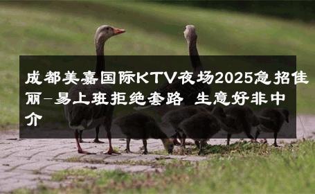 成都美嘉国际KTV夜场2025急招佳丽-易上班拒绝套路 生意好非中介