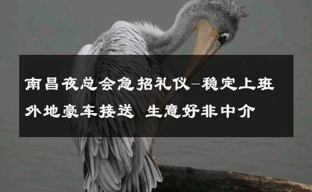 南昌夜总会急招礼仪-稳定上班外地豪车接送 生意好非中介