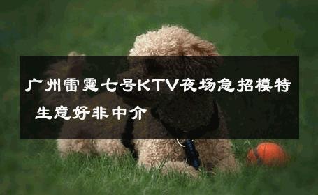 广州雷霆七号KTV夜场急招模特 生意好非中介